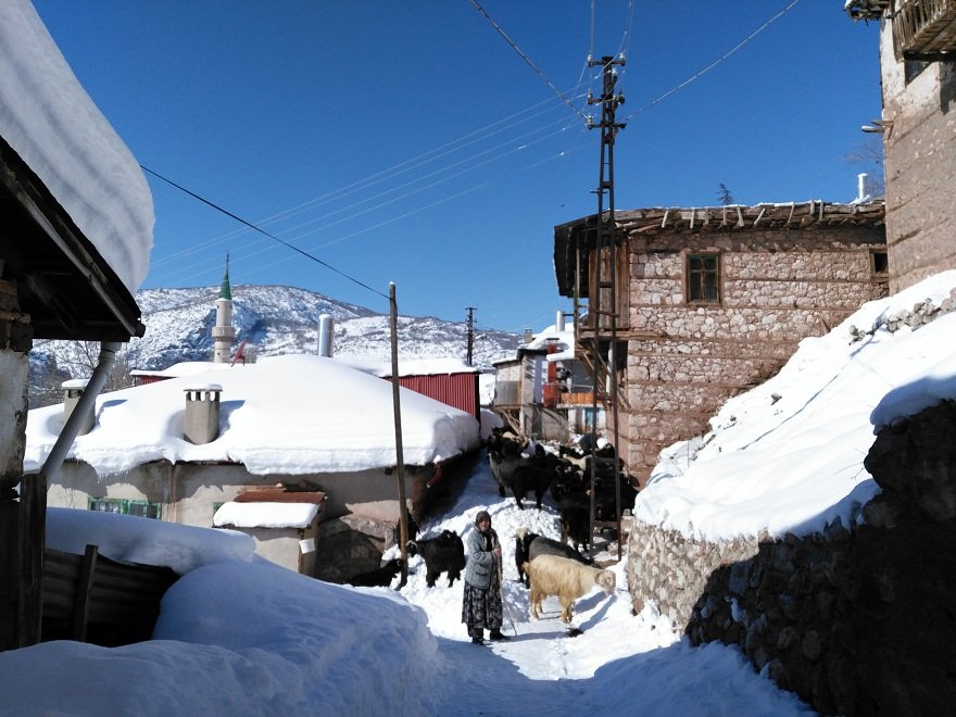 bozkirda-hayat-normale-donmeye-basladi-1.jpg