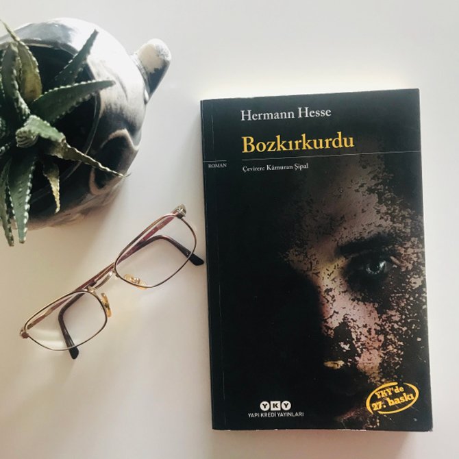 bozkirkurdu.jpg