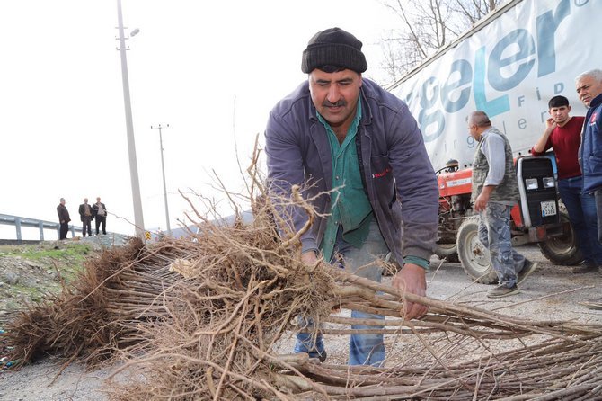 buyuksehirden-ciftciye-fidan-ve-fide-destegi-2.jpg