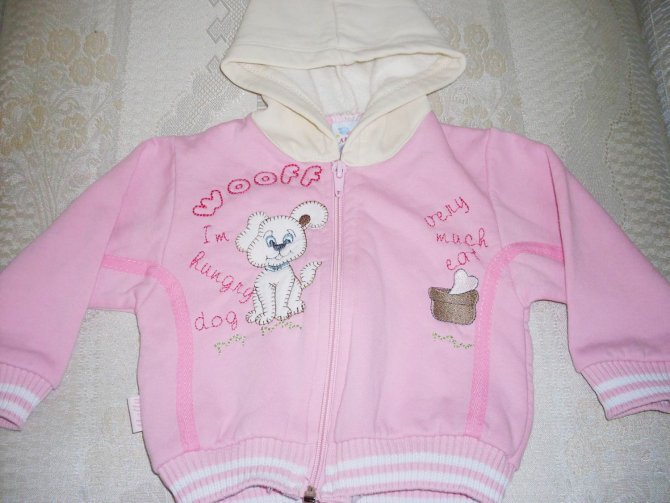 Hav, ben aç bir köpeğim