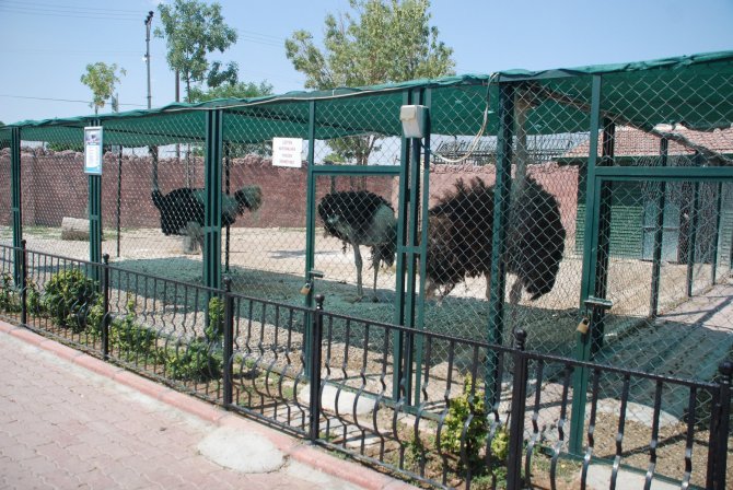 karatay-belediyesi-hayvanat-bahcesi-2.jpg