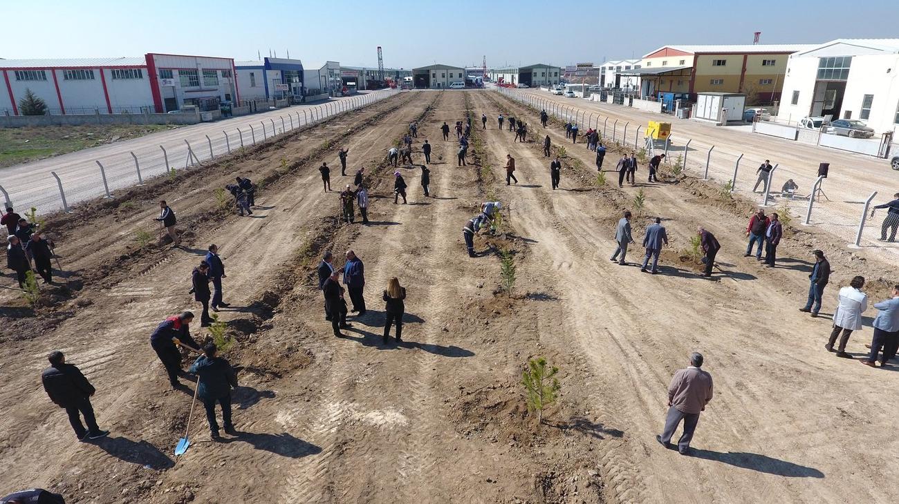 karatay-belediyesi-personeli-hatira-koruluguna-torenle-agac-dikti-(2).jpg