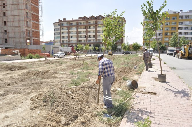 karatayda-agaclandirma-calismalari-2.jpg