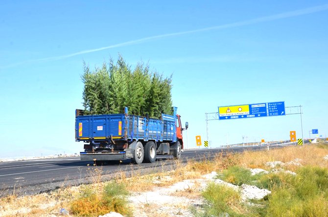 konya-cevreyolu-1-etap-agaclandirma-calismalari-tamamlandi-2.jpg