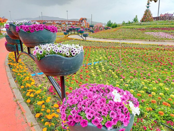 konya-cicek-bahcesi-7.jpg