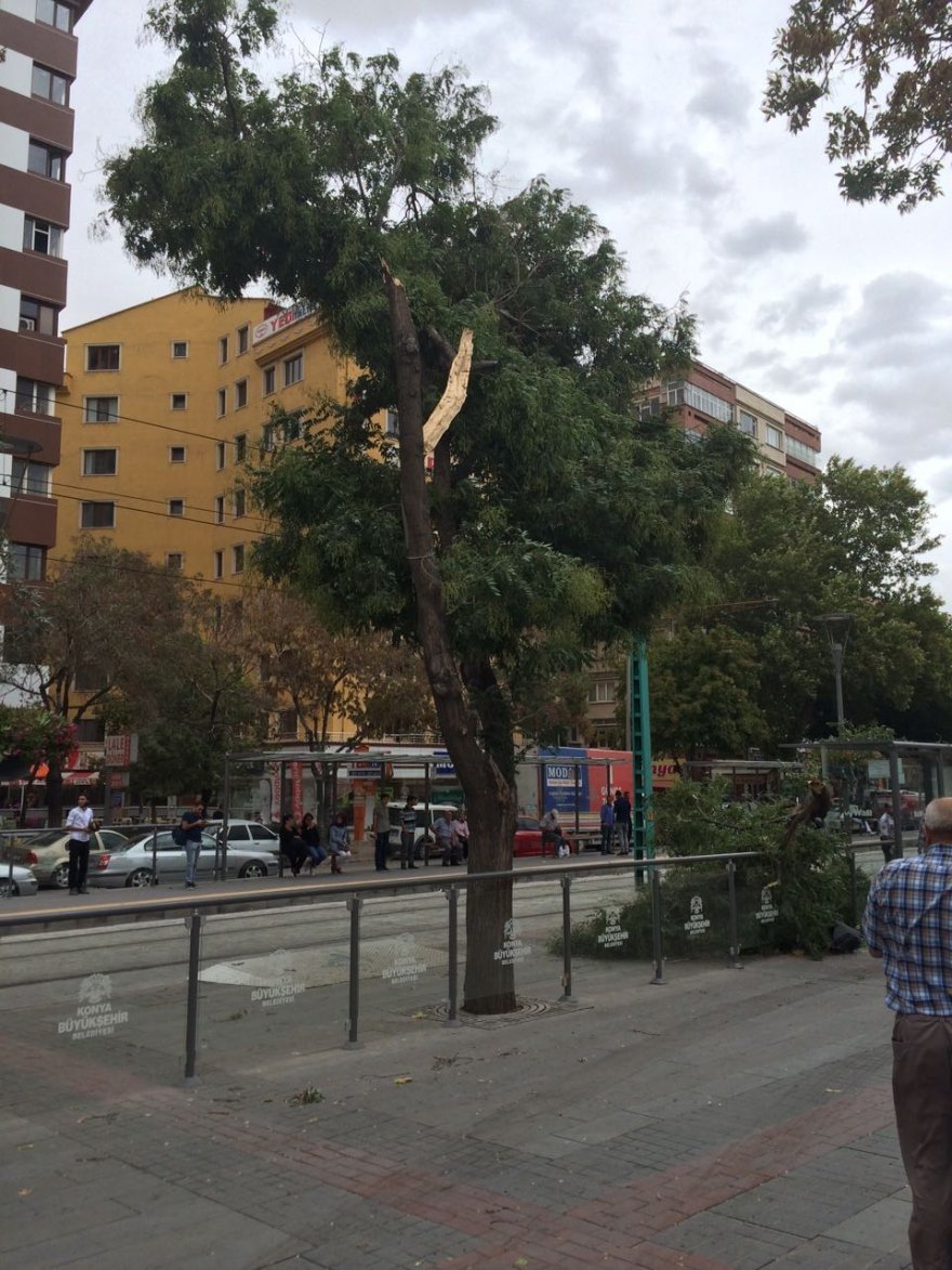 konyada-lodos-yikip-gecti-2.jpeg konyada-lodos-yikip-gecti-2.jpeg