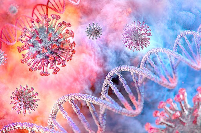 koronavirus-6.jpg