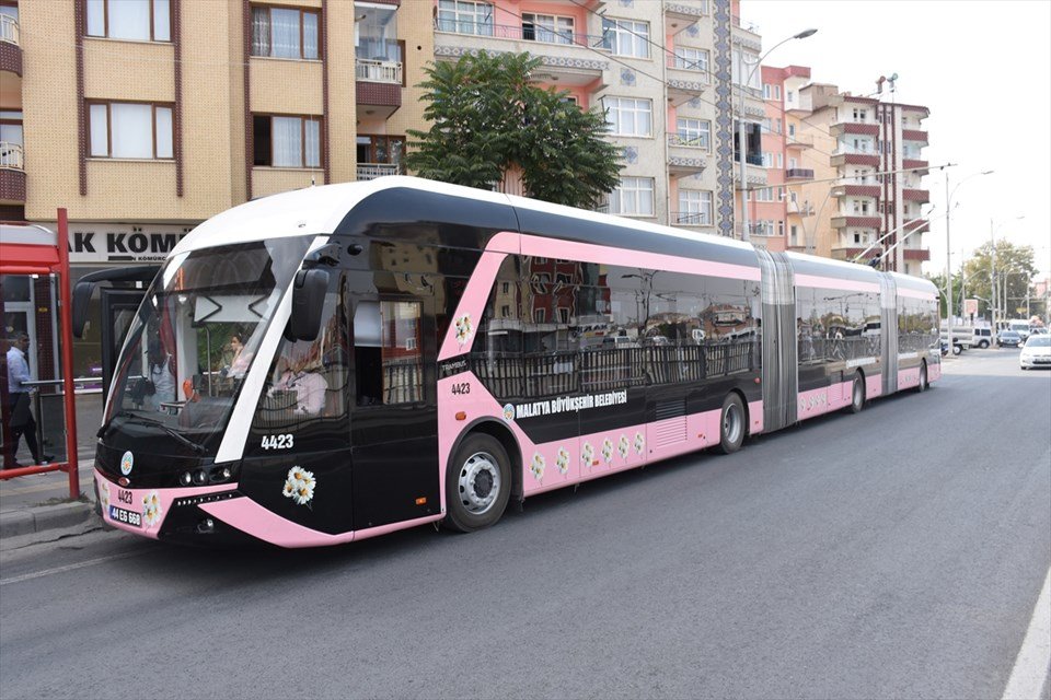 pembe-trambus.jpg