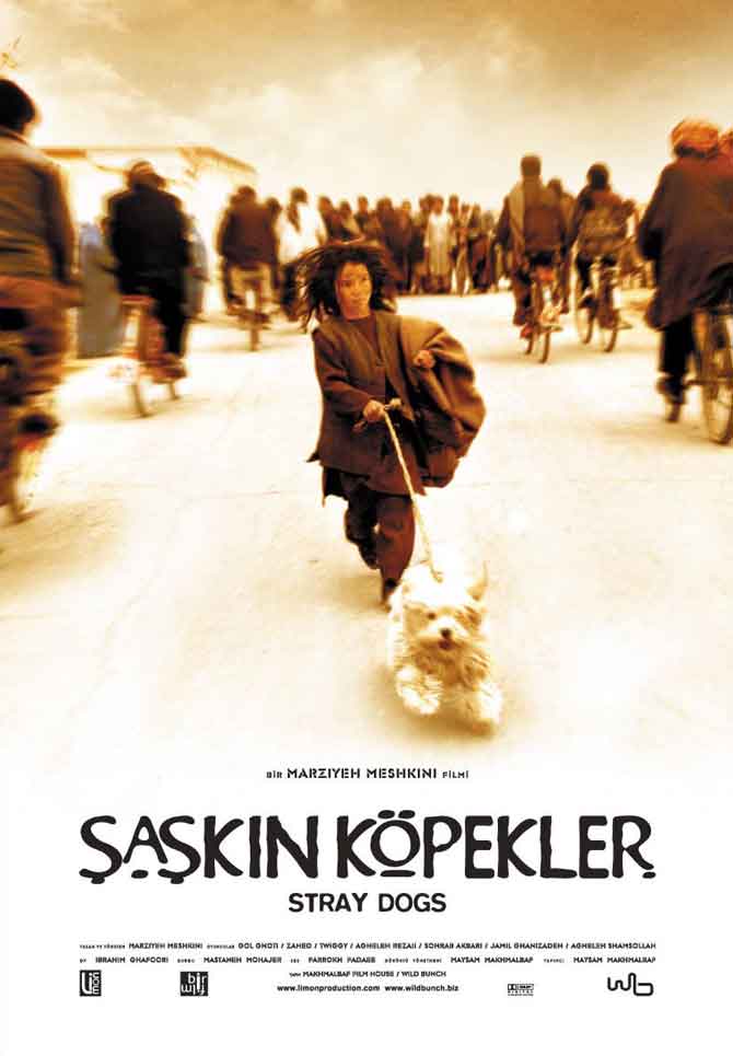 saskin-kopekler.jpg