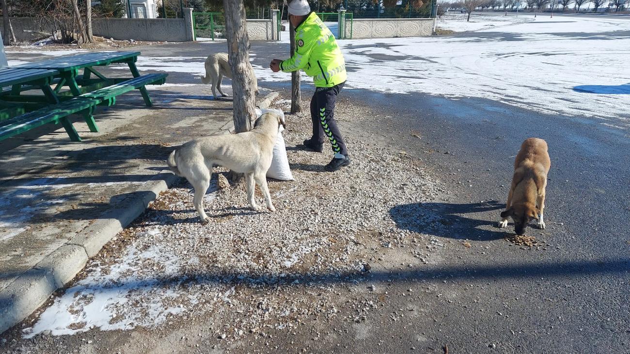 sokak-hayvanlarina-polisten-sefkat-eli-2.jpeg