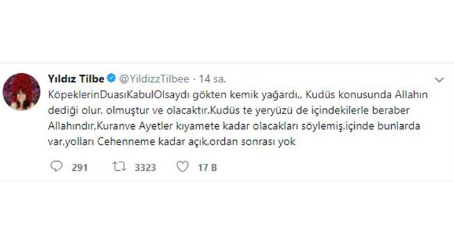yildiz1(1).jpg