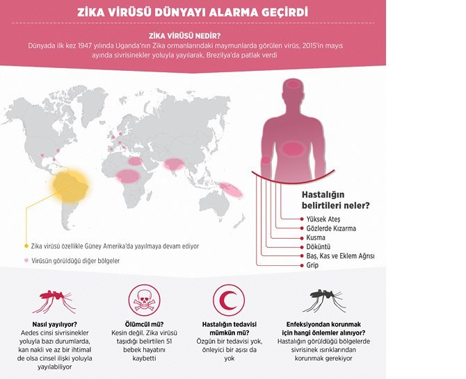 zika-virusu-dunyayi-alarma-gecirdi-1.jpg